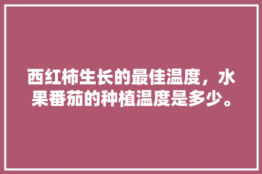 西红柿生长的最佳温度，水果番茄的种植温度是多少。 西红柿生长的最佳温度，水果番茄的种植温度是多少。 蔬菜种植