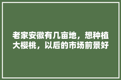 老家安徽有几亩地，想种植大樱桃，以后的市场前景好不好，安徽种植水果哪里好呢知乎。 老家安徽有几亩地，想种植大樱桃，以后的市场前景好不好，安徽种植水果哪里好呢知乎。 家禽养殖