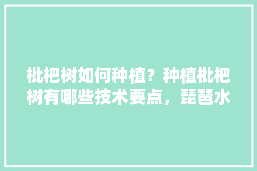 枇杷树如何种植？种植枇杷树有哪些技术要点，琵琶水果种植方法视频。 枇杷树如何种植？种植枇杷树有哪些技术要点，琵琶水果种植方法视频。 蔬菜种植