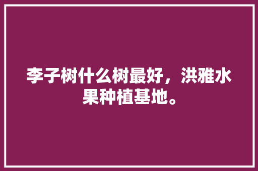 李子树什么树最好，洪雅水果种植基地。 李子树什么树最好，洪雅水果种植基地。 土壤施肥