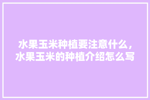 水果玉米种植要注意什么，水果玉米的种植介绍怎么写。 水果玉米种植要注意什么，水果玉米的种植介绍怎么写。 土壤施肥