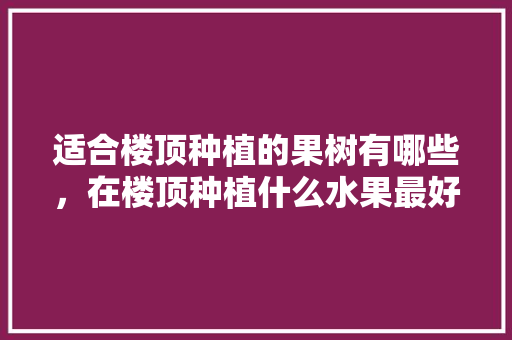 适合楼顶种植的果树有哪些，在楼顶种植什么水果最好。 适合楼顶种植的果树有哪些，在楼顶种植什么水果最好。 家禽养殖