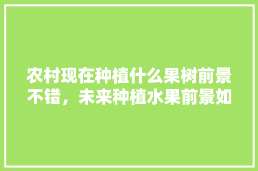 农村现在种植什么果树前景不错，未来种植水果前景如何。 农村现在种植什么果树前景不错，未来种植水果前景如何。 畜牧养殖