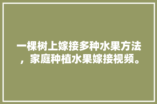 一棵树上嫁接多种水果方法，家庭种植水果嫁接视频。 一棵树上嫁接多种水果方法，家庭种植水果嫁接视频。 土壤施肥