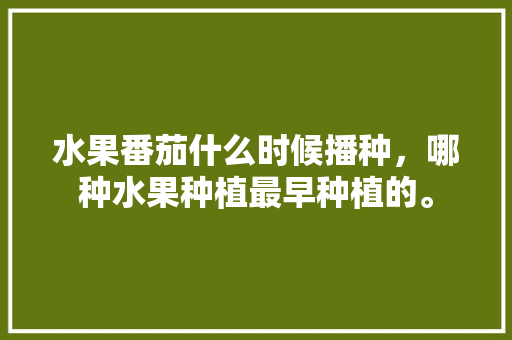 水果番茄什么时候播种，哪种水果种植最早种植的。 水果番茄什么时候播种，哪种水果种植最早种植的。 土壤施肥