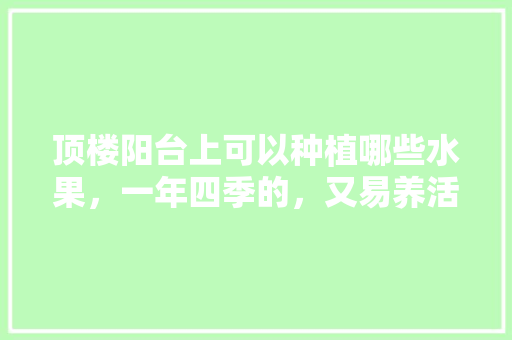 顶楼阳台上可以种植哪些水果，一年四季的，又易养活的，种植率高的水果有哪些。 顶楼阳台上可以种植哪些水果，一年四季的，又易养活的，种植率高的水果有哪些。 蔬菜种植