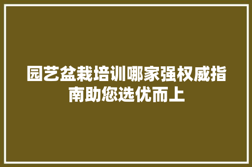 园艺盆栽培训哪家强权威指南助您选优而上(盆栽园艺怎样学)