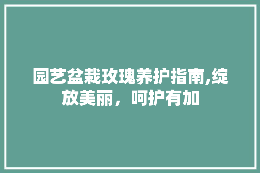 园艺盆栽玫瑰养护指南,绽放美丽，呵护有加