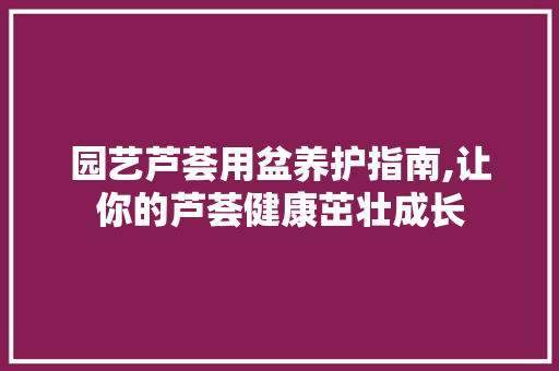 园艺芦荟用盆养护指南,让你的芦荟健康茁壮成长