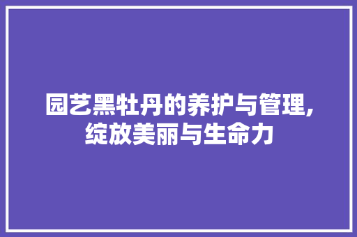 园艺黑牡丹的养护与管理,绽放美丽与生命力