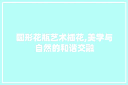 圆形花瓶艺术插花,美学与自然的和谐交融 土壤施肥