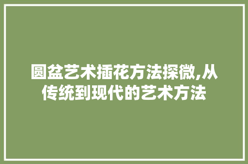 圆盆艺术插花方法探微,从传统到现代的艺术方法