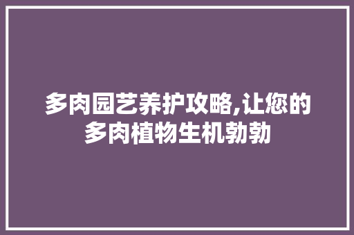 多肉园艺养护攻略,让您的多肉植物生机勃勃