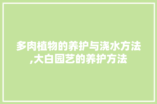 多肉植物的养护与浇水方法,大白园艺的养护方法