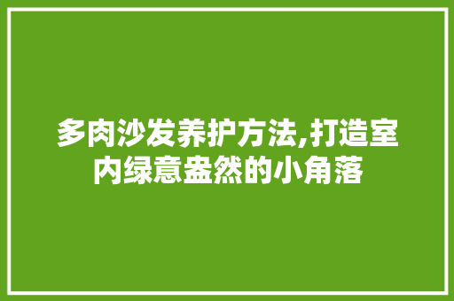 多肉沙发养护方法,打造室内绿意盎然的小角落