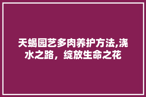 天蝎园艺多肉养护方法,浇水之路，绽放生命之花