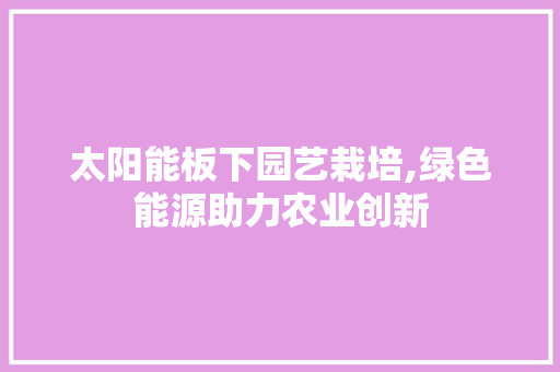 太阳能板下园艺栽培,绿色能源助力农业创新