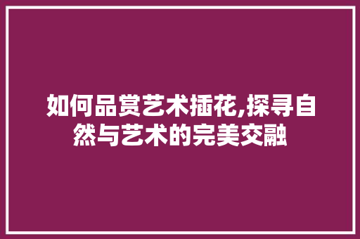 如何品赏艺术插花,探寻自然与艺术的完美交融