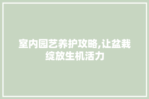 室内园艺养护攻略,让盆栽绽放生机活力 土壤施肥