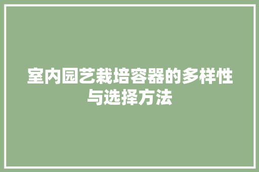 室内园艺栽培容器的多样性与选择方法