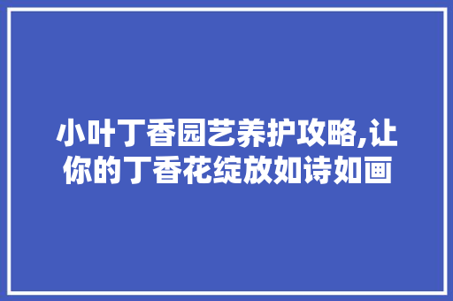 小叶丁香园艺养护攻略,让你的丁香花绽放如诗如画