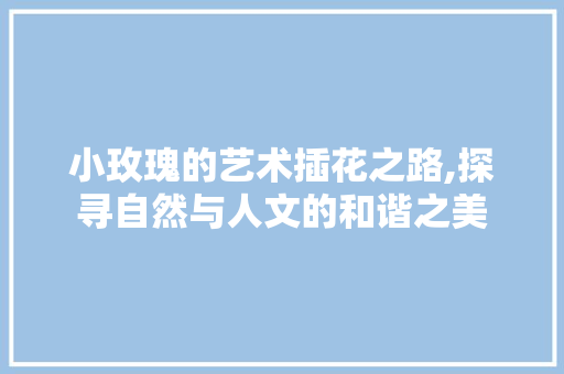 小玫瑰的艺术插花之路,探寻自然与人文的和谐之美