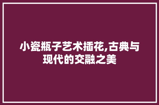 小瓷瓶子艺术插花,古典与现代的交融之美