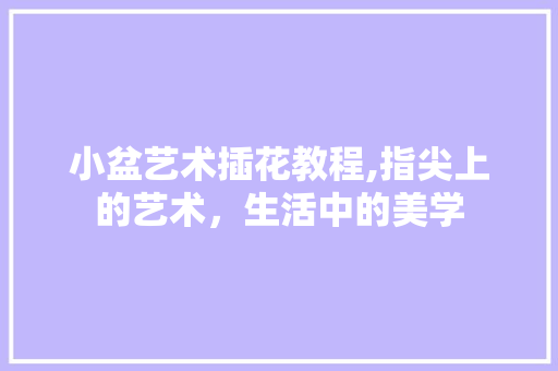 小盆艺术插花教程,指尖上的艺术，生活中的美学