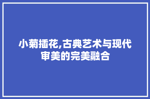 小菊插花,古典艺术与现代审美的完美融合