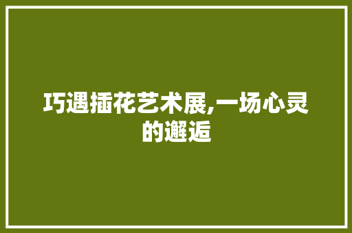 巧遇插花艺术展,一场心灵的邂逅