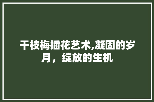 干枝梅插花艺术,凝固的岁月，绽放的生机