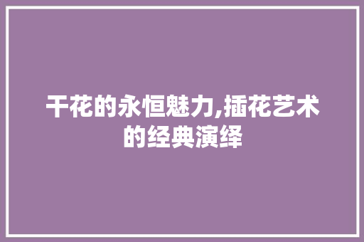 干花的永恒魅力,插花艺术的经典演绎