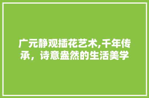 广元静观插花艺术,千年传承，诗意盎然的生活美学