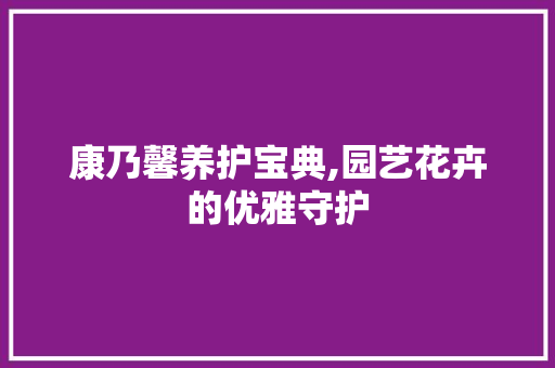 康乃馨养护宝典,园艺花卉的优雅守护