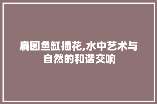 扁圆鱼缸插花,水中艺术与自然的和谐交响