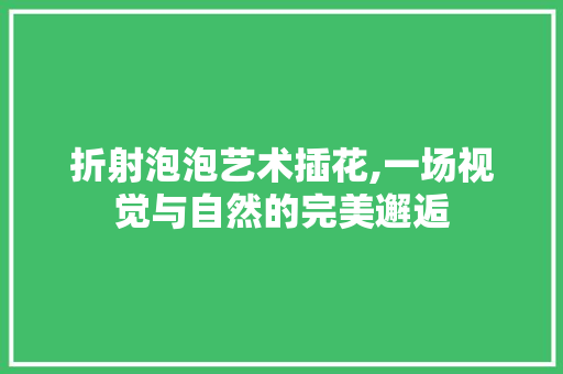 折射泡泡艺术插花,一场视觉与自然的完美邂逅