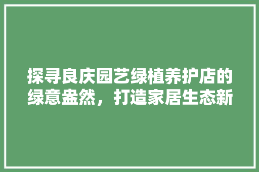 探寻良庆园艺绿植养护店的绿意盎然，打造家居生态新天地