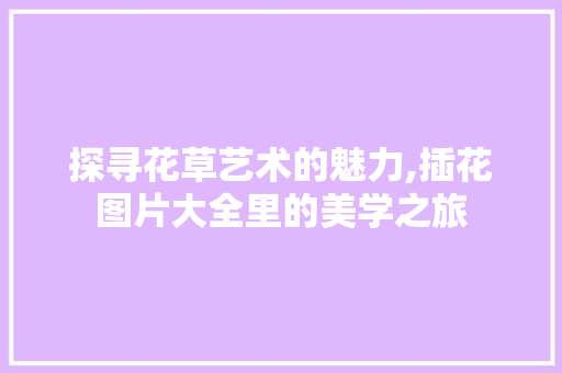 探寻花草艺术的魅力,插花图片大全里的美学之旅