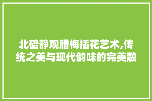 北碚静观腊梅插花艺术,传统之美与现代韵味的完美融合