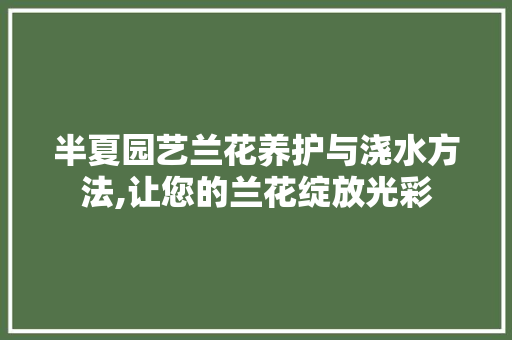 半夏园艺兰花养护与浇水方法,让您的兰花绽放光彩