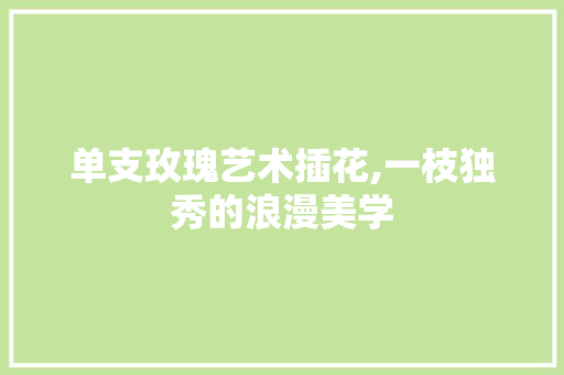 单支玫瑰艺术插花,一枝独秀的浪漫美学