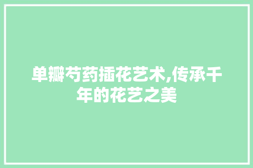 单瓣芍药插花艺术,传承千年的花艺之美