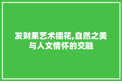 发财果艺术插花,自然之美与人文情怀的交融