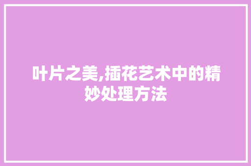 叶片之美,插花艺术中的精妙处理方法