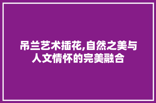 吊兰艺术插花,自然之美与人文情怀的完美融合