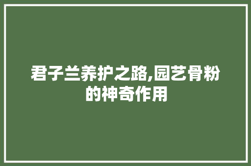 君子兰养护之路,园艺骨粉的神奇作用