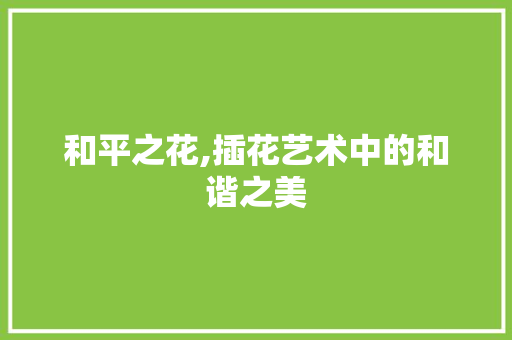 和平之花,插花艺术中的和谐之美