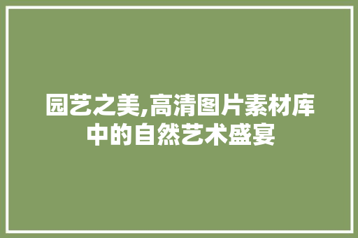 园艺之美,高清图片素材库中的自然艺术盛宴