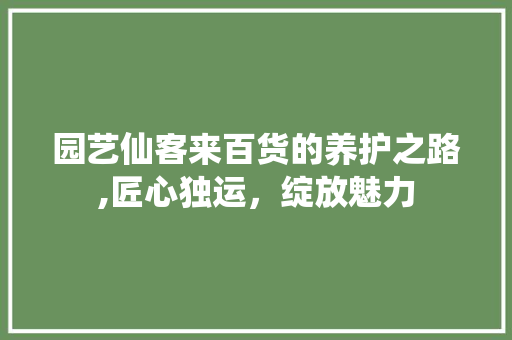 园艺仙客来百货的养护之路,匠心独运，绽放魅力