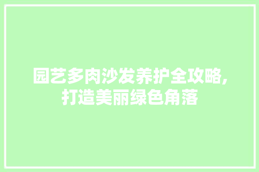 园艺多肉沙发养护全攻略,打造美丽绿色角落